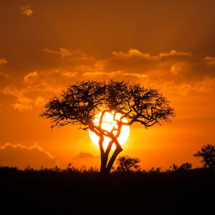 肯尼亚+内罗毕+安博塞利国家公园+马赛马拉国家保护区10日9晚半自助游