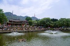 南普陀寺-放生池-厦门-doris圈圈