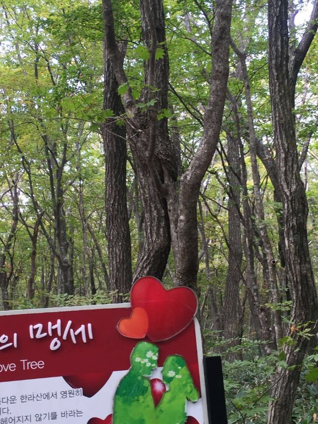 한라산 국립공원