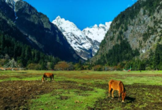 梅里雪山国家公园景点图片