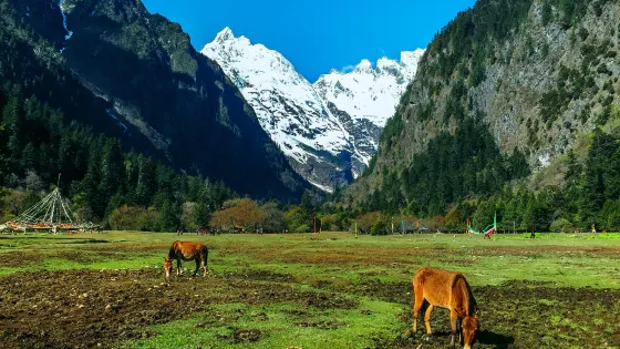 梅里雪山國家公園
