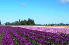 斯卡吉山谷-斯卡吉特县-Hello_Yuanzi