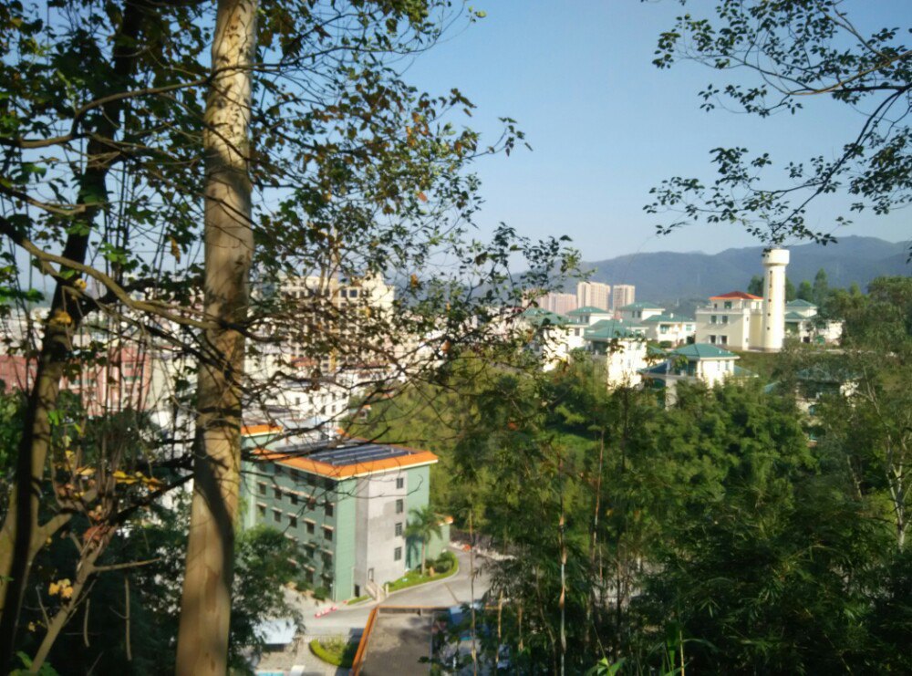 翠竹公园