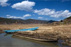 草海-盐源-doris圈圈