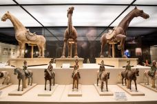 新疆维吾尔自治区博物馆-乌鲁木齐-doris圈圈