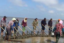 小洋口海上迪斯科景点图片