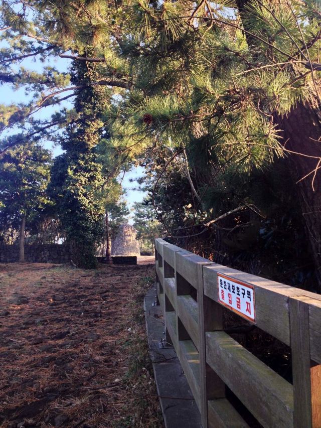 Olle Trail