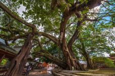 大芦村民俗风情旅游区-灵山-doris圈圈