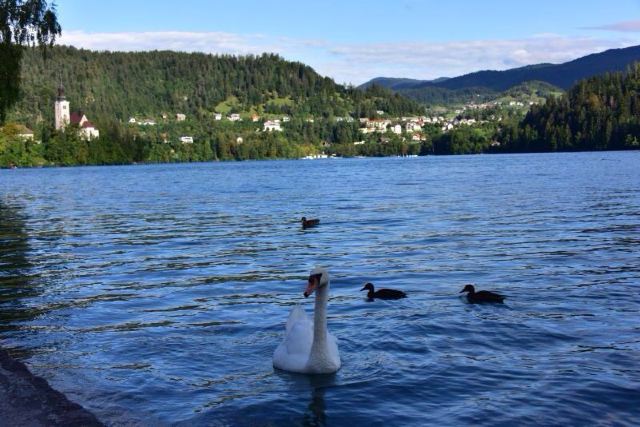 Lake Bled