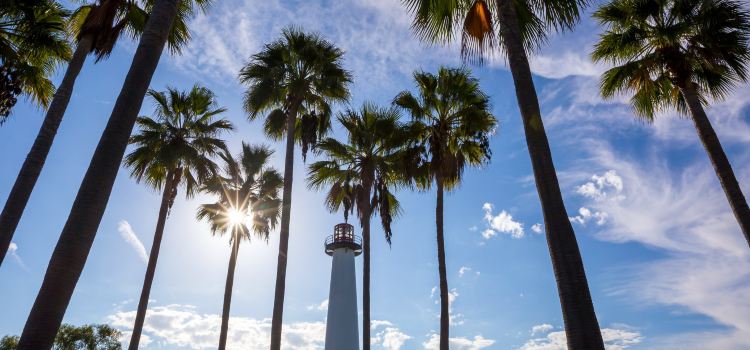 Long Beach Travel Guide Popular Attractions In Long Beach - 