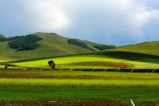 丰宁坝上草原-丰宁-人生如梦