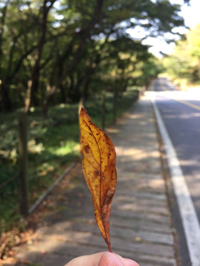 한라산 국립공원