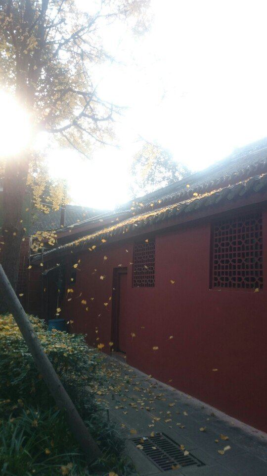 文殊院