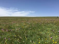 橡皮山-共和-小磨咖啡