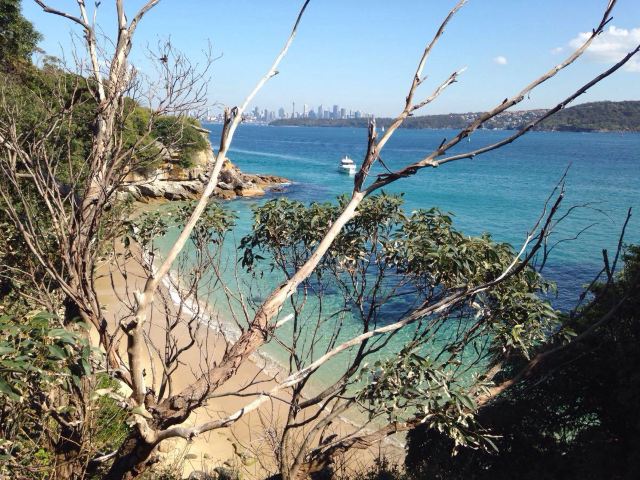 South Head and Watsons Bay Walk