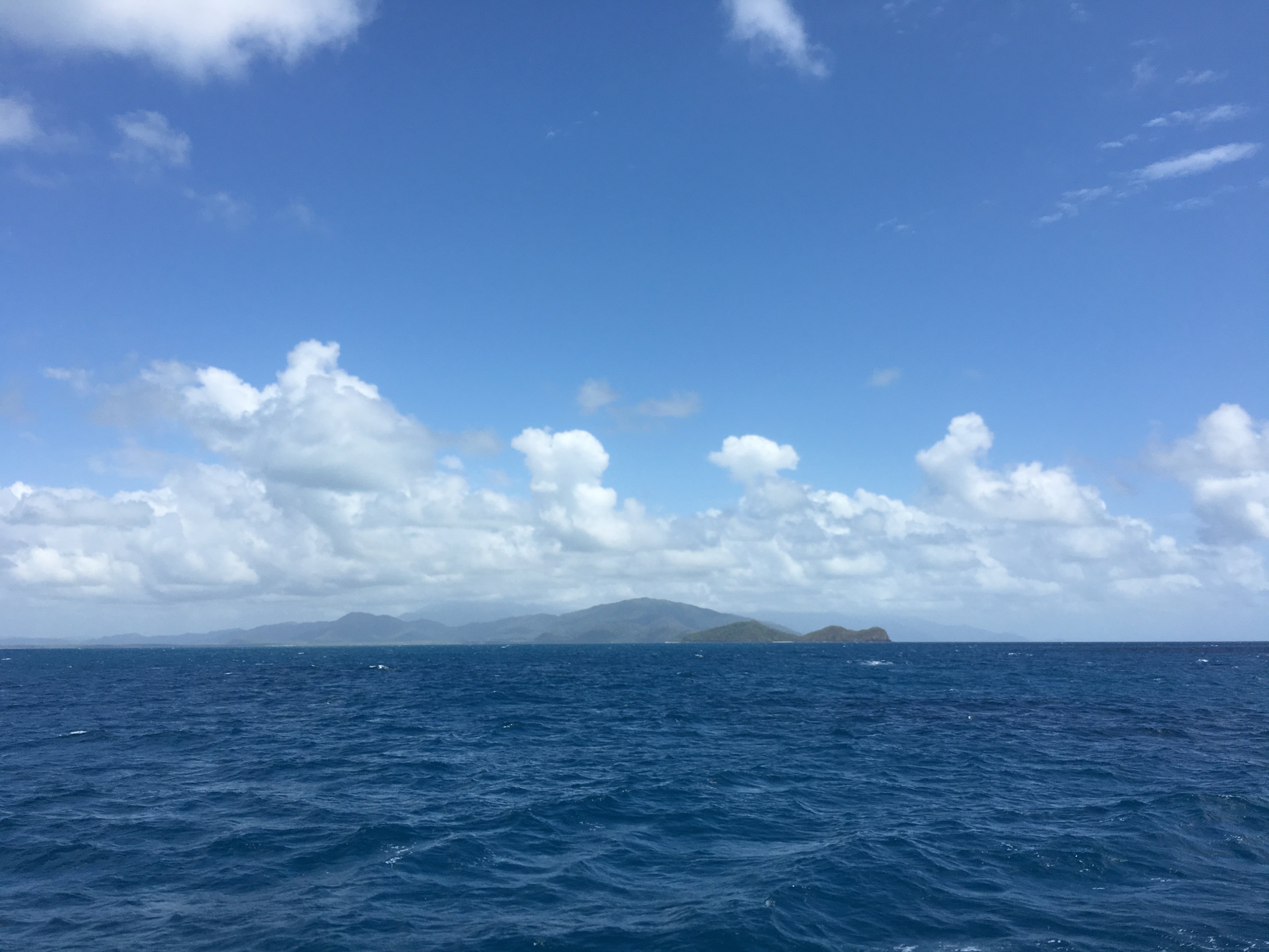DAY 7 （12月4日） 凯恩斯阿金考特大堡礁 一到早坐车再次前往Port Douglas（其实看