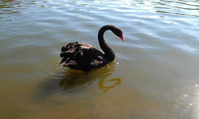 Ibirapuera Park