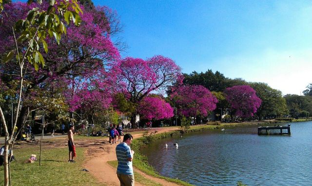 Ibirapuera Park