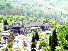 丫山风景区-大余-花菜蹦擦擦