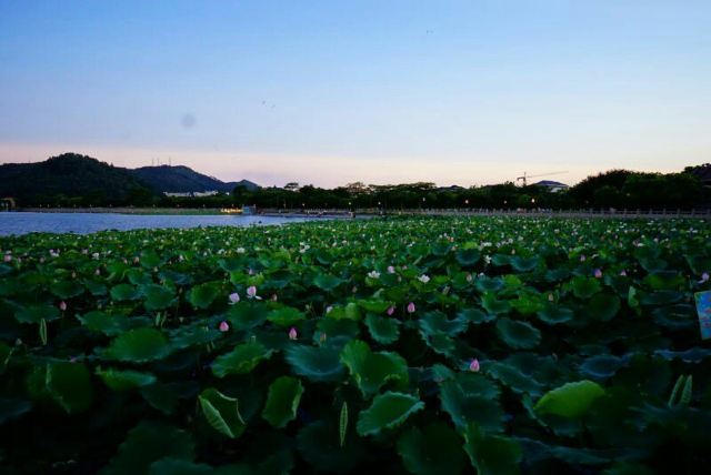 Shunfeng Mountain Park