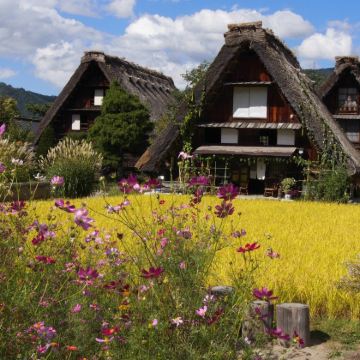 日本名古屋世界遗产白川乡+五箇山相仓合掌村・巴士一日游
