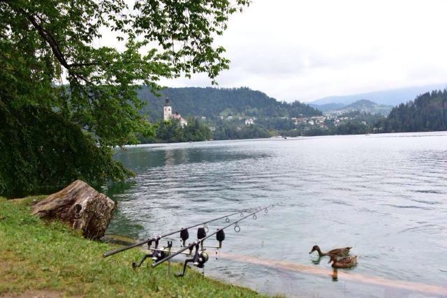 Lake Bled