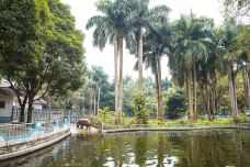 南宁动物园-南宁-doris圈圈