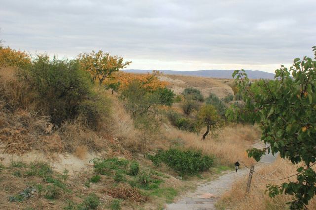 Pigeon Valley