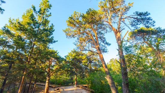 Hailar National Forest Park