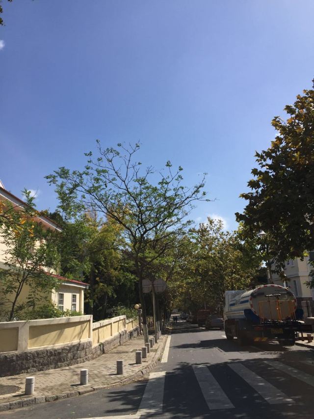 바다관(팔대관)