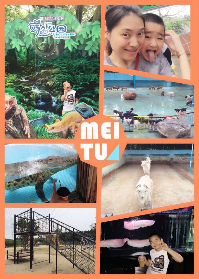 Chimelong Bird Park