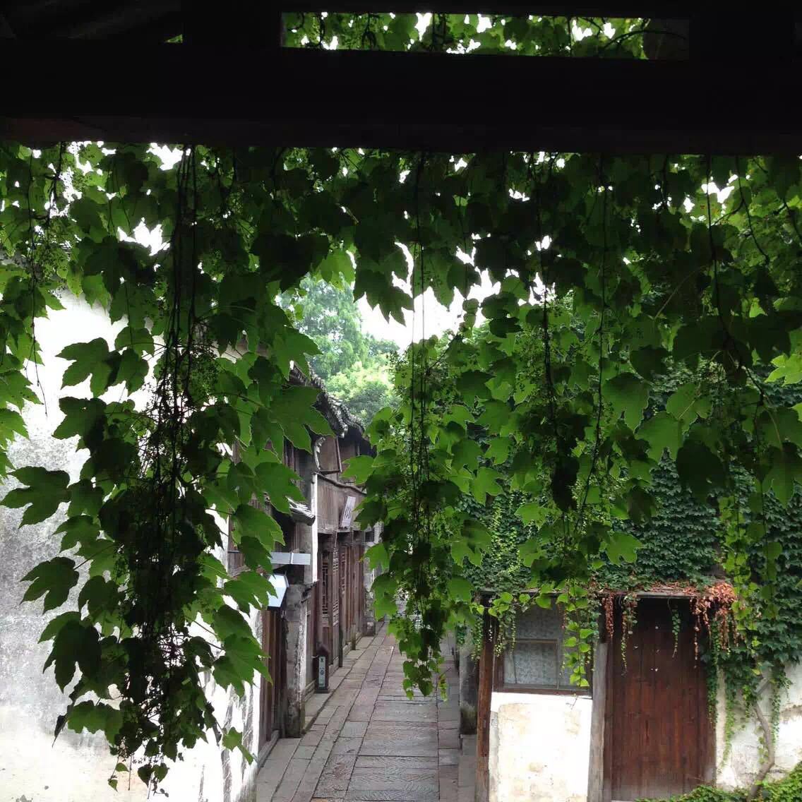 雨读桥