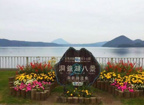 Aputa(道之驿店)餐厅图片