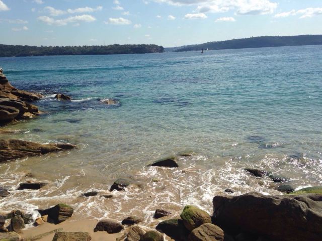South Head and Watsons Bay Walk