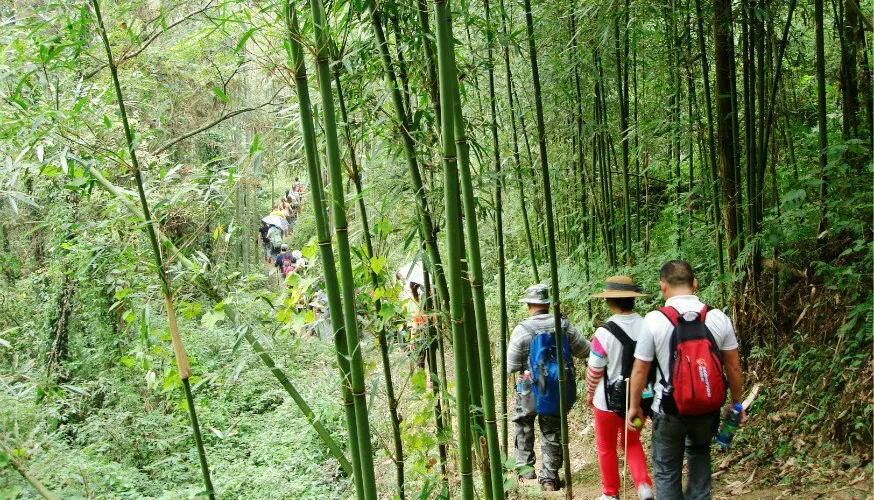 永安旅遊