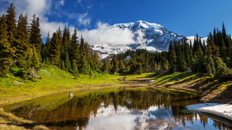 8-Day Napa Valley, Seattle and Crater Lake National Park Tour·from San Francisco W/Amtrak Coast Starlight Train