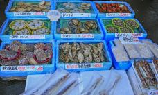 函馆早市广场-函馆-doris圈圈