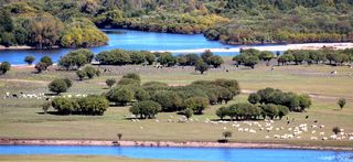 呼伦贝尔—心灵放飞的大草原（呼伦贝尔、哈尔滨十日行）