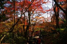 常寂光寺-京都-doris圈圈