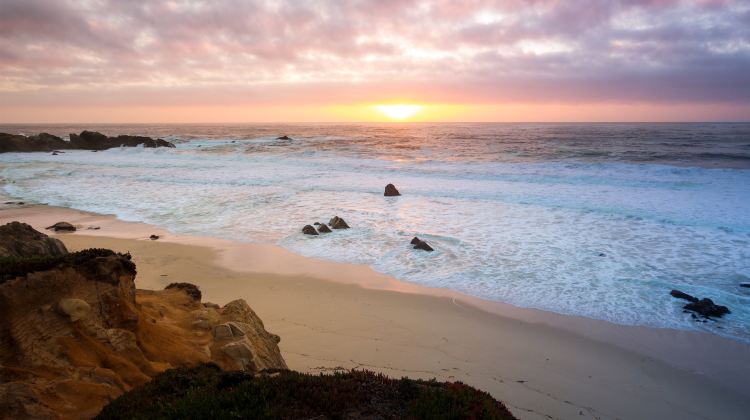4-Day San Francisco Tour from Los Angeles · 17-Mile Drive, San Francisco City Tour and Yosemite National Park