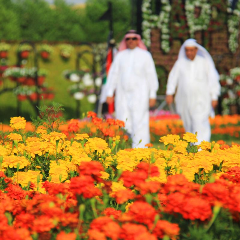 Miracle Garden Travel Guidebook Must Visit Attractions In Sharjah