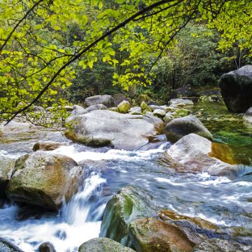 黄山+庐山+千岛湖景区+婺源+宏村景区+西递11日10晚跟团游