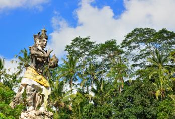 巴厘岛乌布+德格拉朗梯田+圣泉寺+乌布皇宫一日游【巴厘岛乌布一日游[热门乌布网红秋千+中文司导+独立包车+行程灵活]】