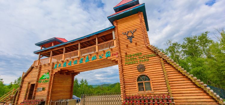 Moerdaoga National Forest Park Travel Guidebook Must Visit