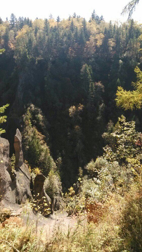 West Slope of Changbai Mountain Scenic Area