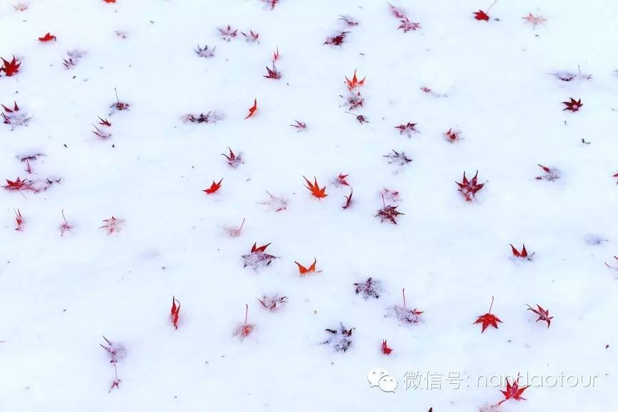 韩国全罗南道和顺的秋去冬来之际，竟美得如此惊天动地 秋天还没来得及走，冬天都迫不及待来了！  韩国全