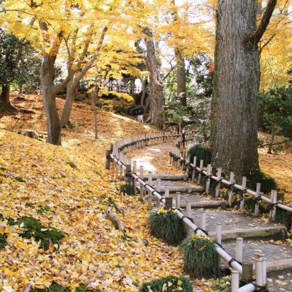 日本金泽鼓门+兼六园+东茶屋街+近江町市场一日游【中文包车