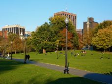 波士顿公园-波士顿-doris圈圈