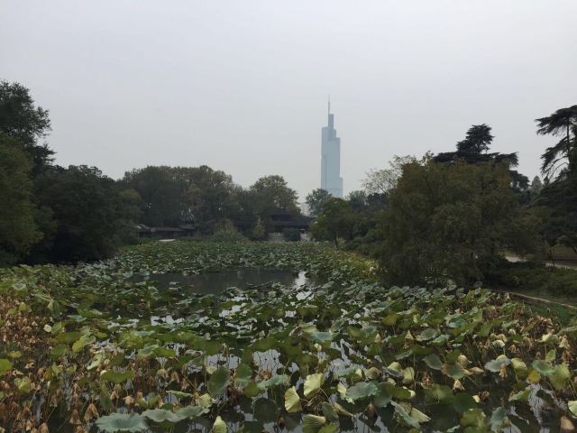 Xuanwu Lake
