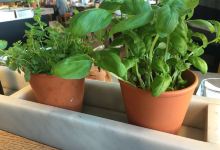 Vapiano Foorum美食图片